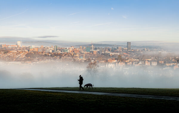 Meersbrook Park December 2024
