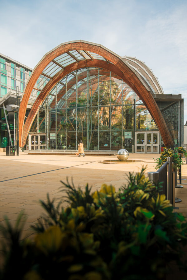 Winter Garden October 2025