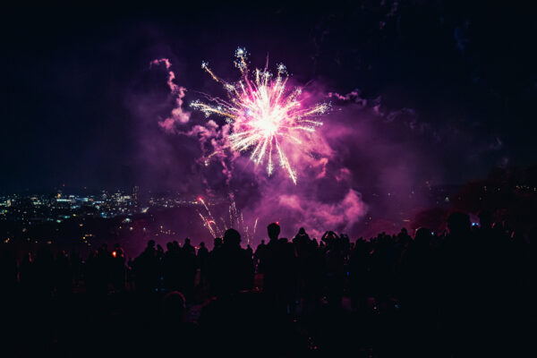 Meersbrook Park November 2025